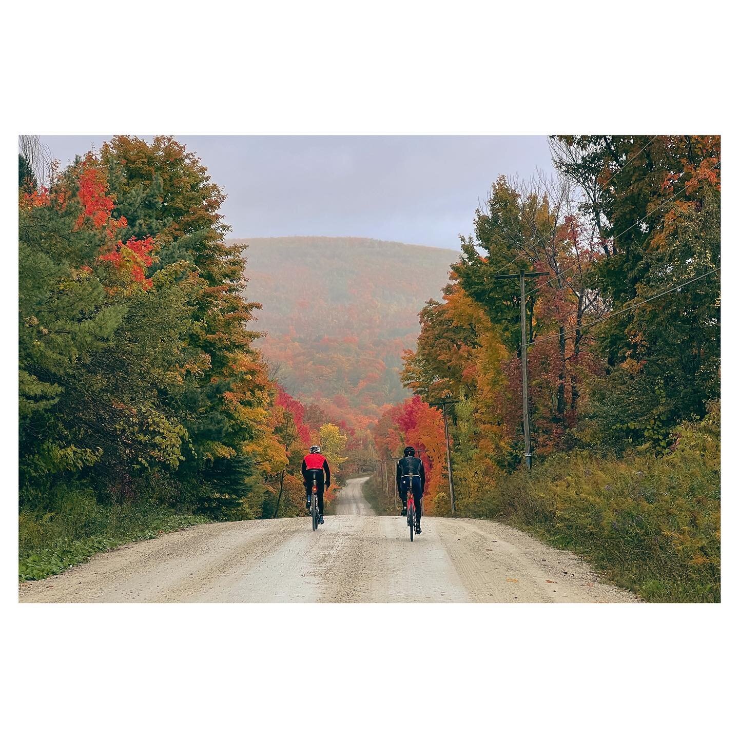 ⠀⠀⠀⠀⠀⠀⠀⠀⠀
Quick Turkey trot 🦃 with the lads 
⠀⠀⠀⠀⠀⠀⠀⠀
Happy Canadian Thanksgiving!