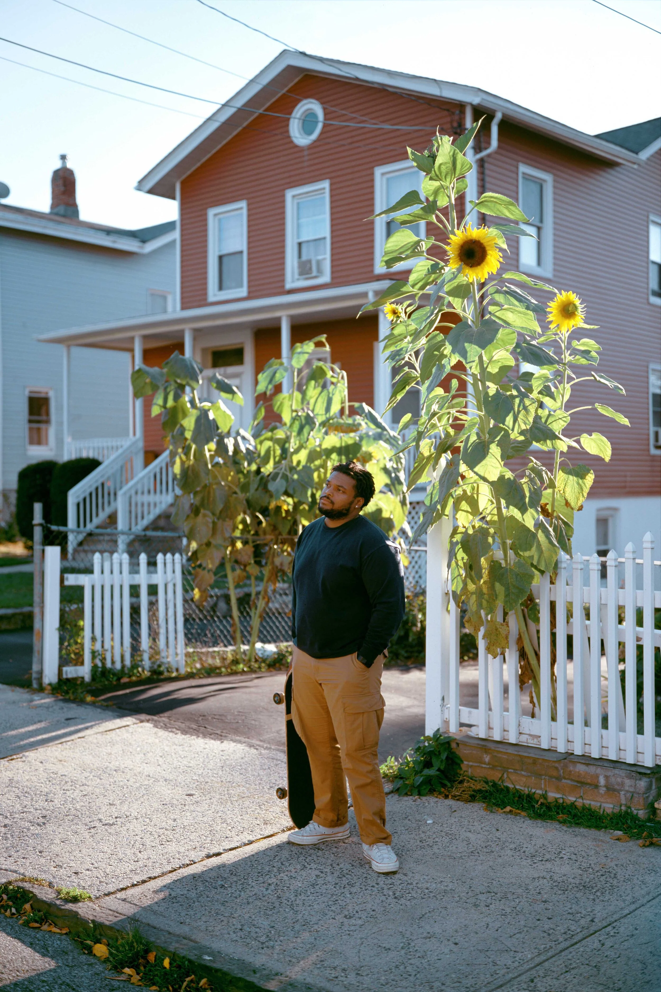 Tolley Sunflowers(e).jpg