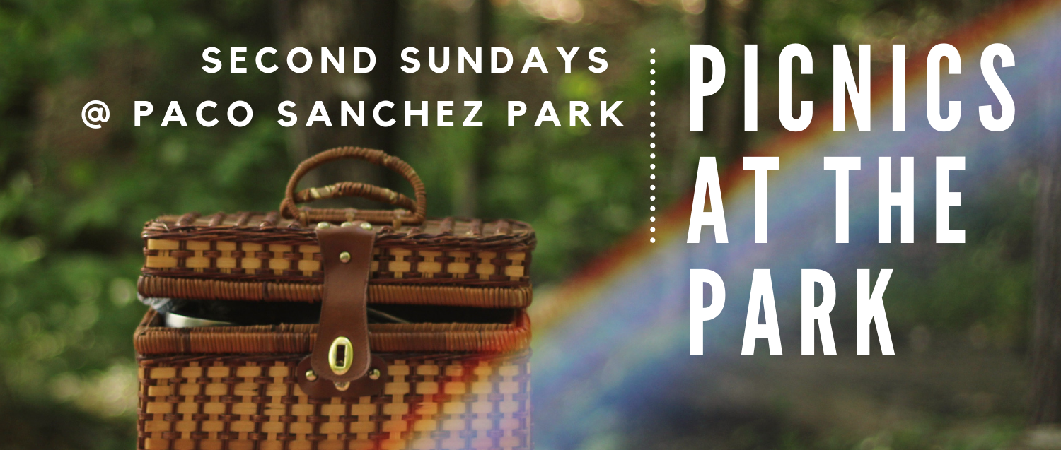 Picnics at the Park 2019 Banner.png