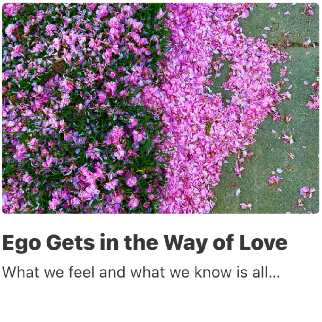 Ego Gets in the Way of Love.png