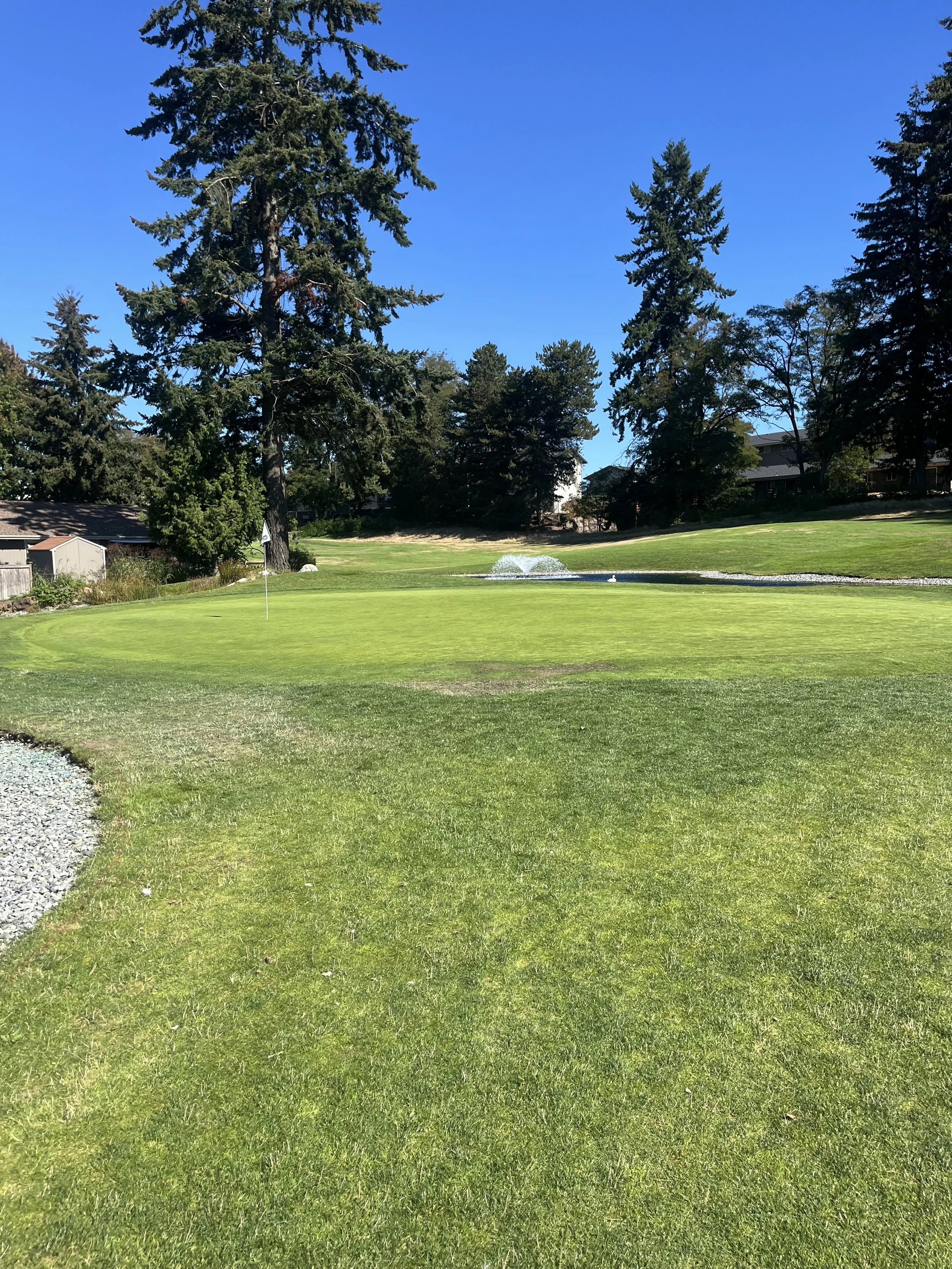 green grassy golf course with blue sky and tall trees surrounding a water fountain.