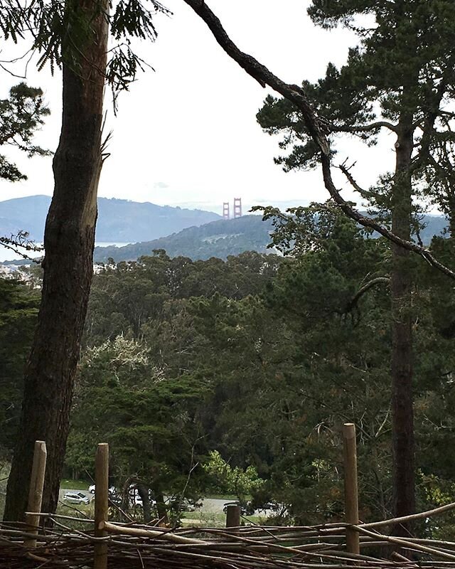 View of tiny Golden Gate Bridge from majestic Golden Gate Park, inspirational WFH walks in the hood