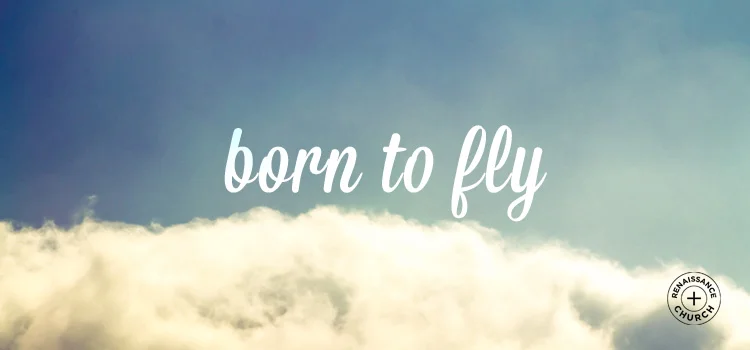 Born to Fly.jpg