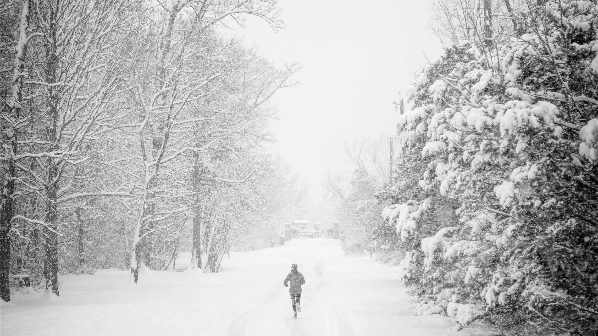 Day 6: Run to Win