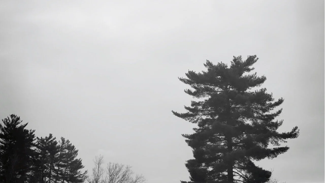 Day 10: Elijah?