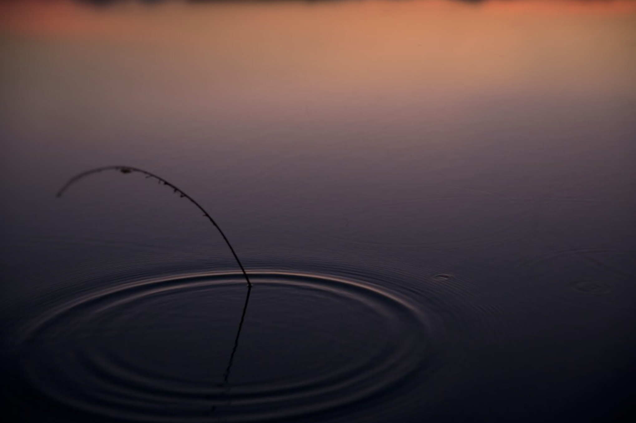 Beautiful things are made through pressure