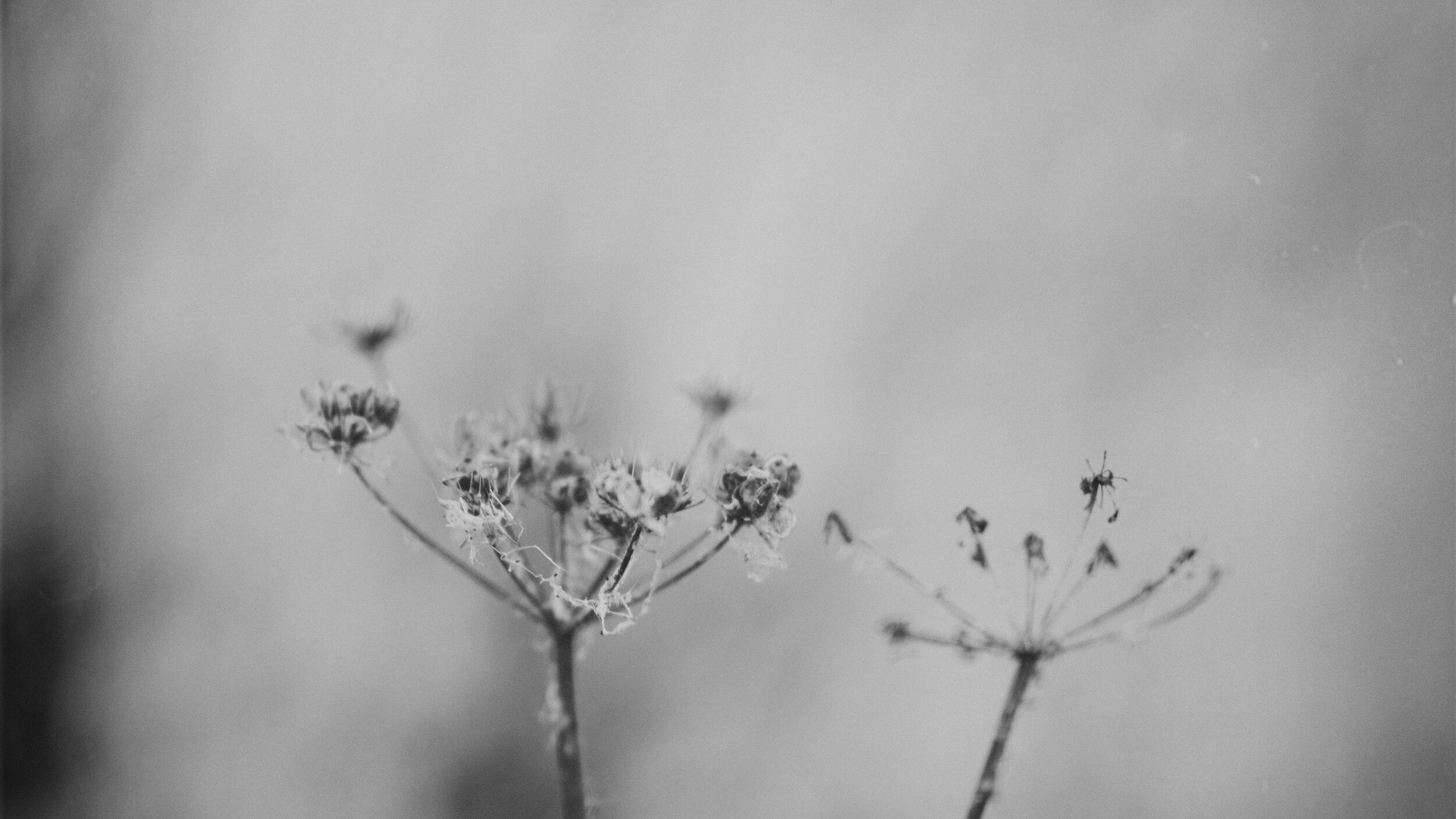 Day 14: Dryness