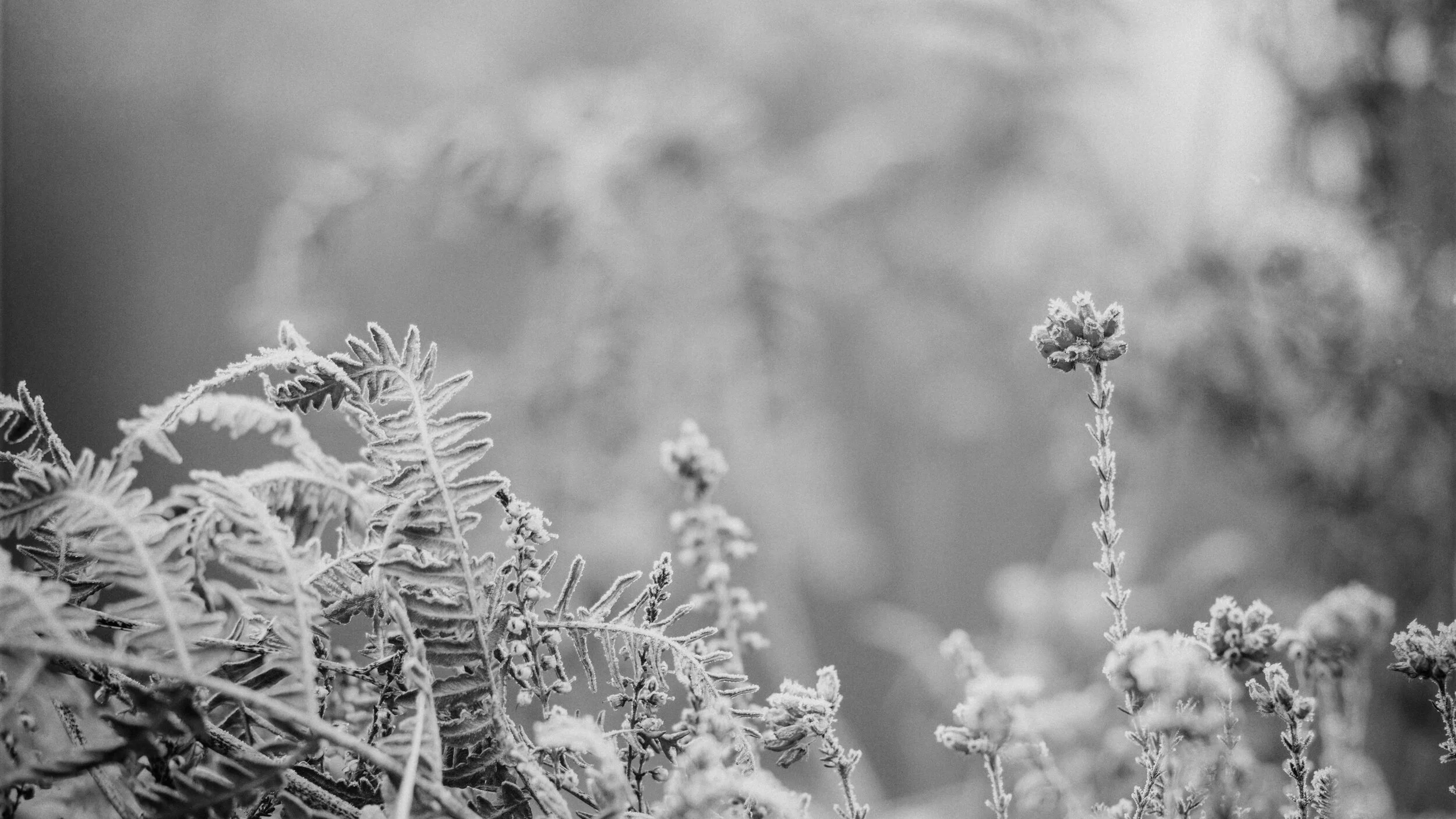 Day 42: Knowing God