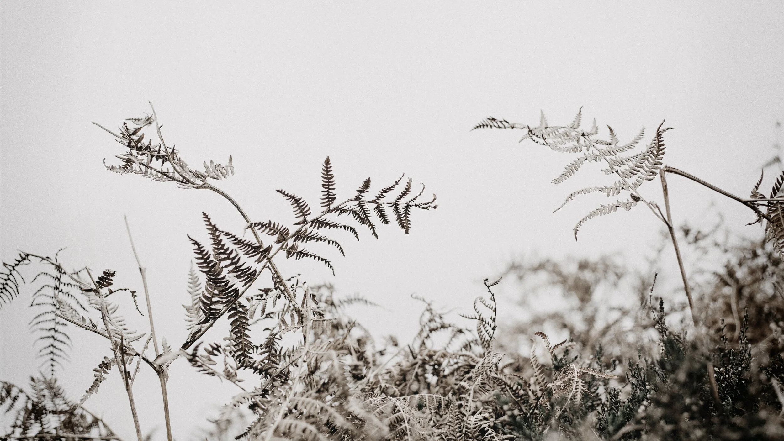 Day 65: Ways to Intercede