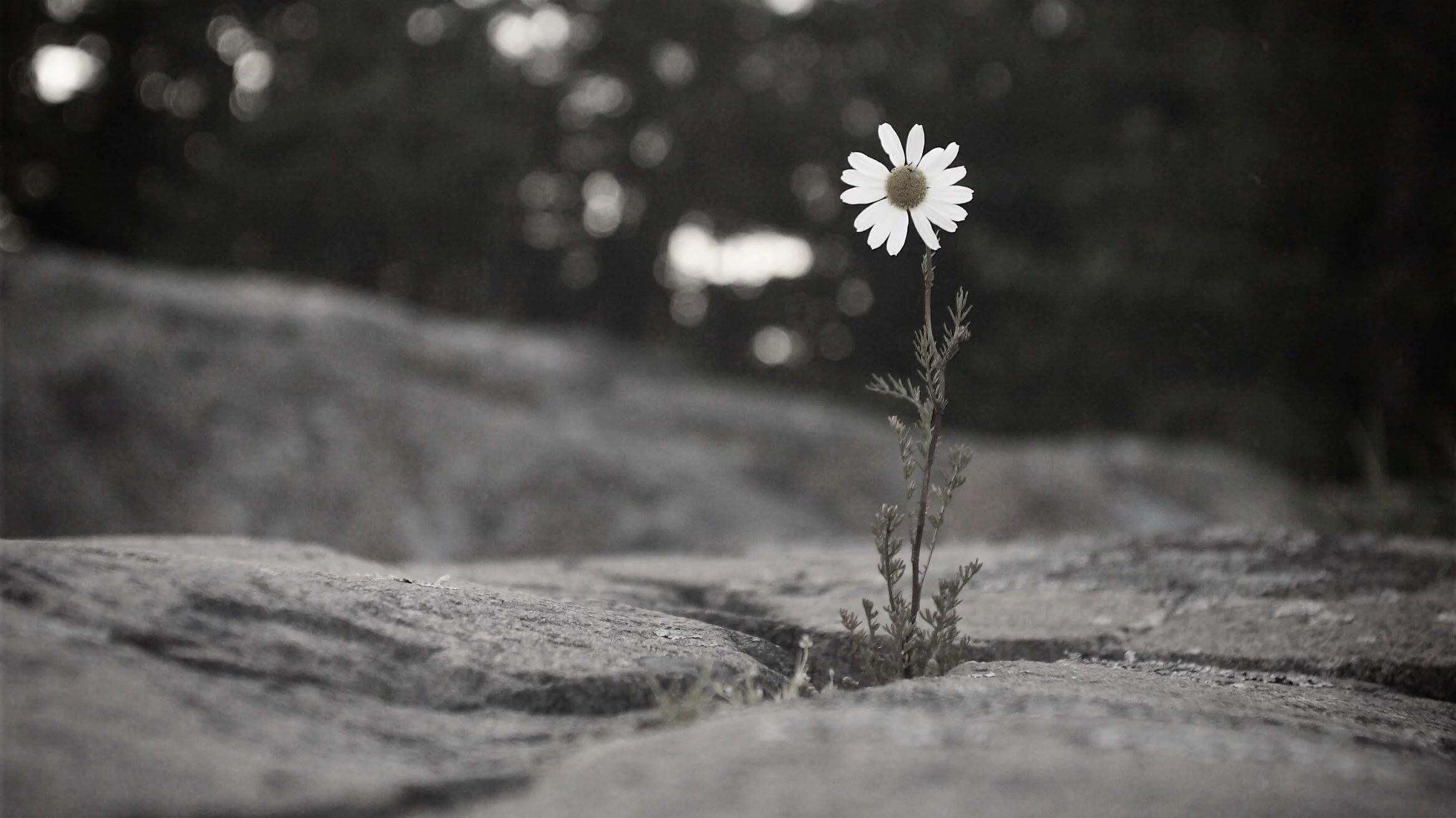Day 69: I Need Boldness!