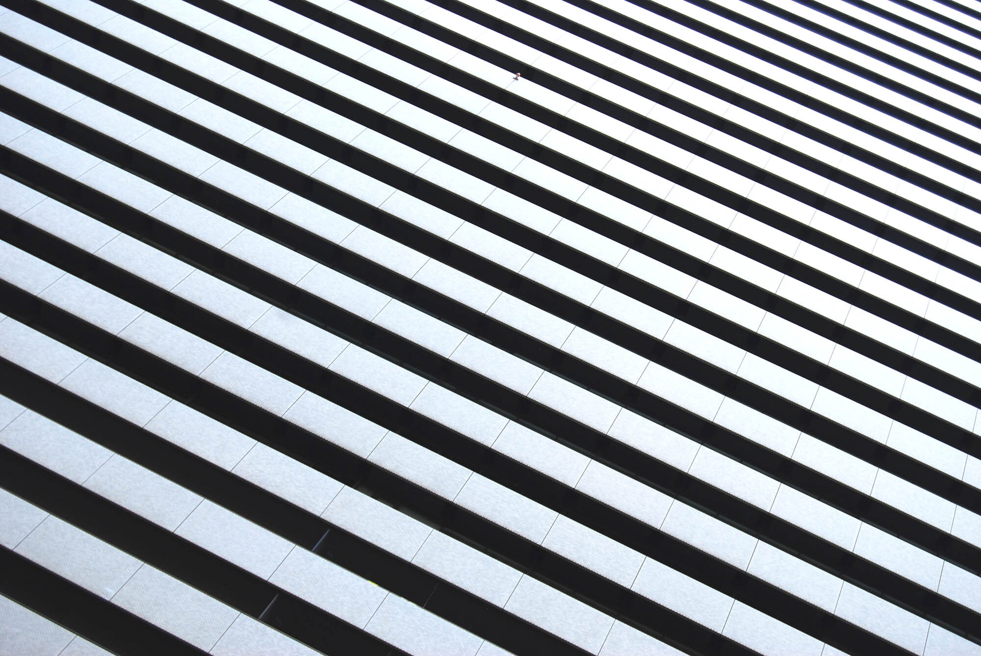 unsplash-image-_v2aoMh8xf0.jpg