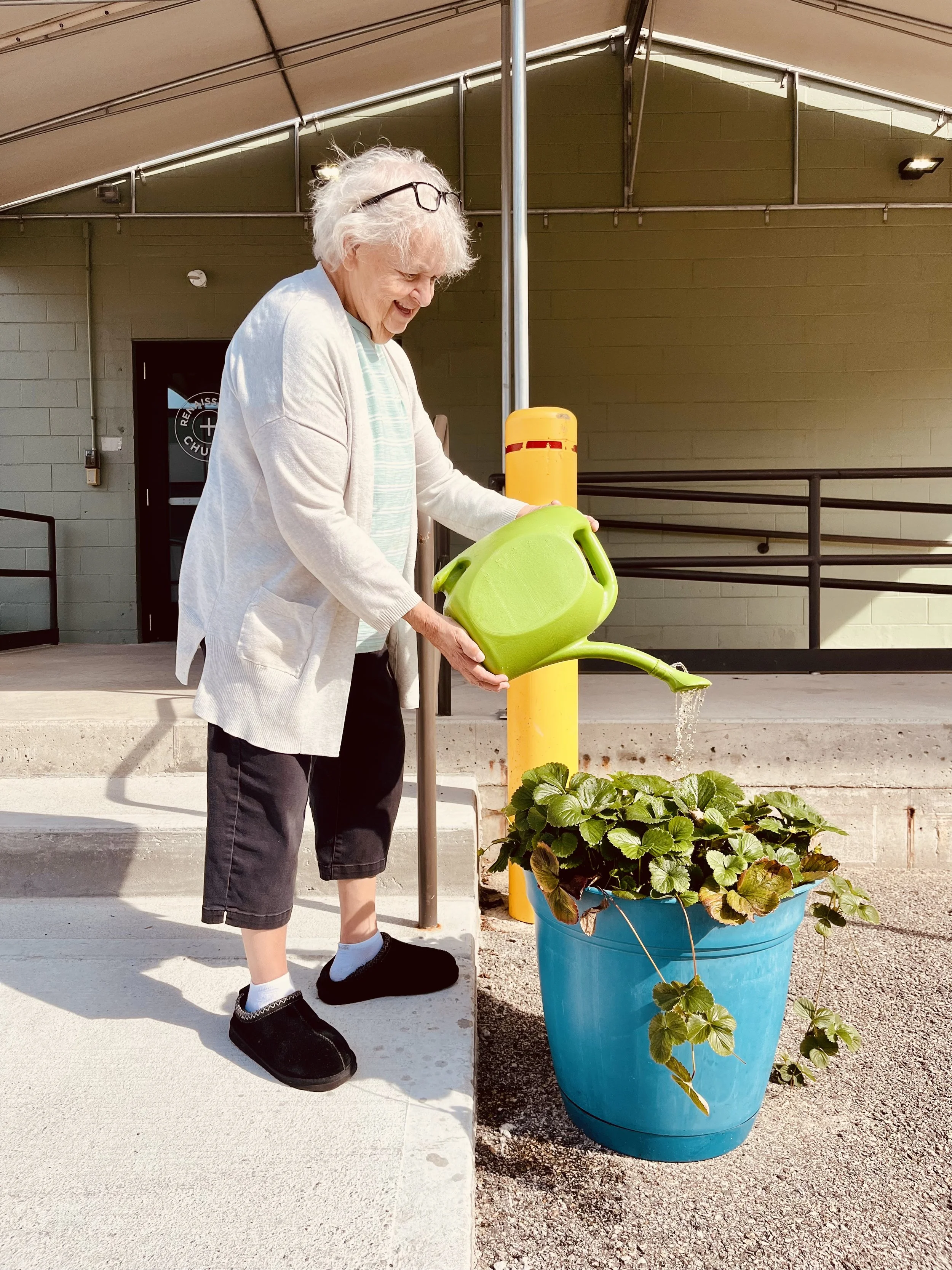 Jackie Watering Strawberries.jpeg