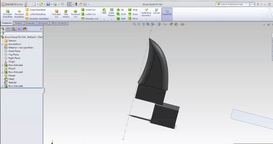 Dorsal Fin
