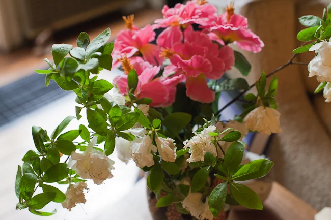 Silk flowers live longer