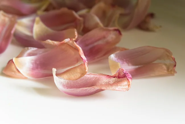 Beautiful Demise pt. 2