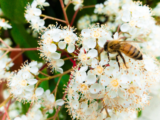 I’m loving these summer days!