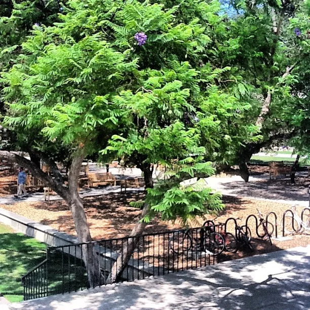 Oxy Beauty (Taken with Instagram)