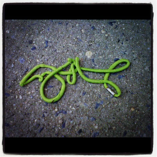 Fallen hair tie is #graffiti esque (Taken with Instagram)