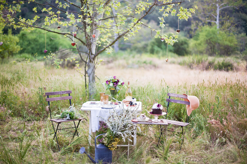 picnic-wedding.jpg