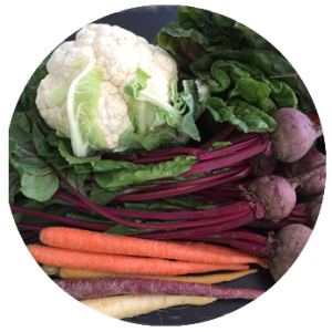 Kunya_Cirlces_veggies-300x300.png