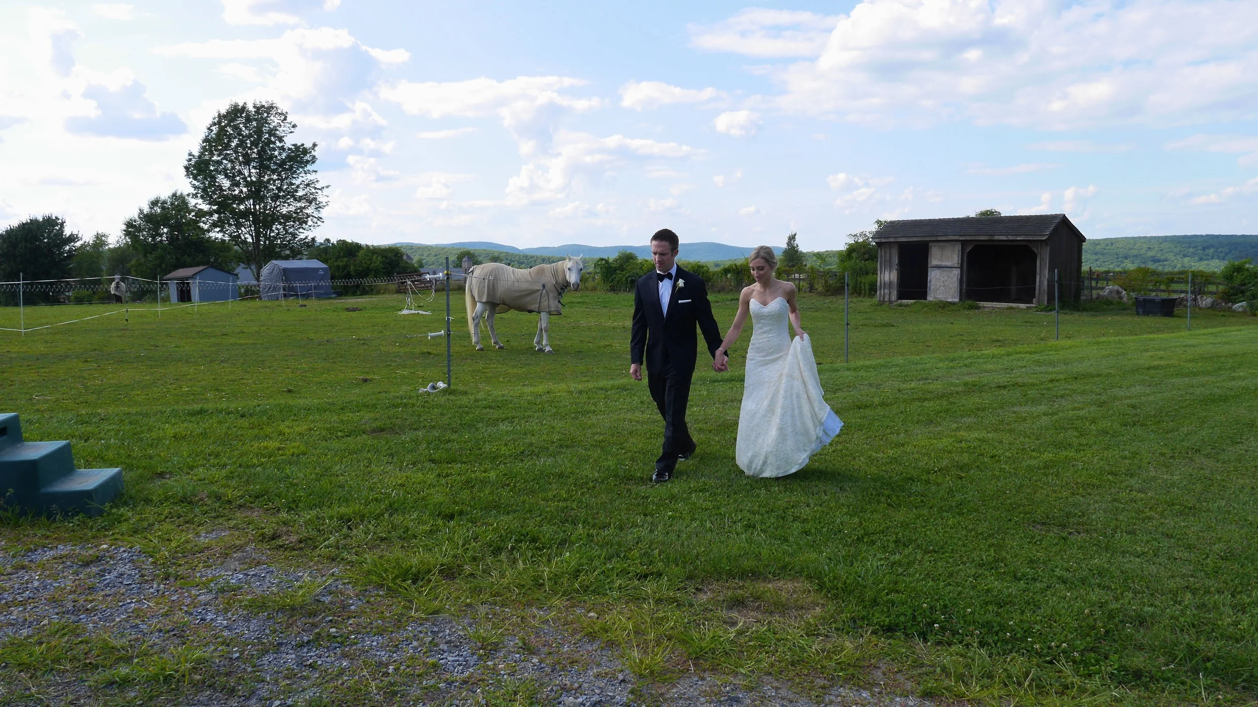 Horse+%26+Marriage+2+P1090319-2807119816-O.jpg