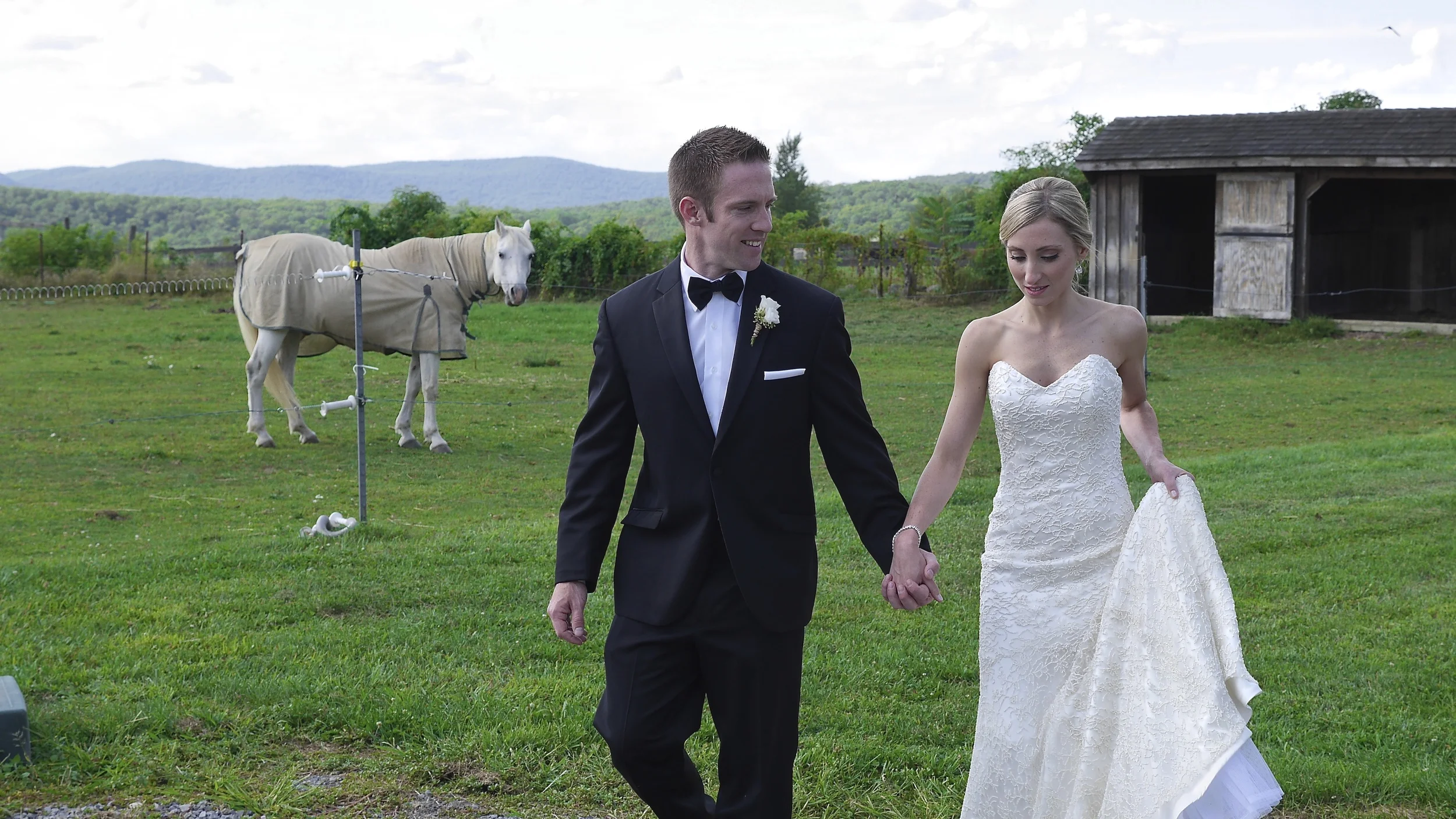 Bride+Groom+Horse+closer+P1090-2807114054-O.jpg