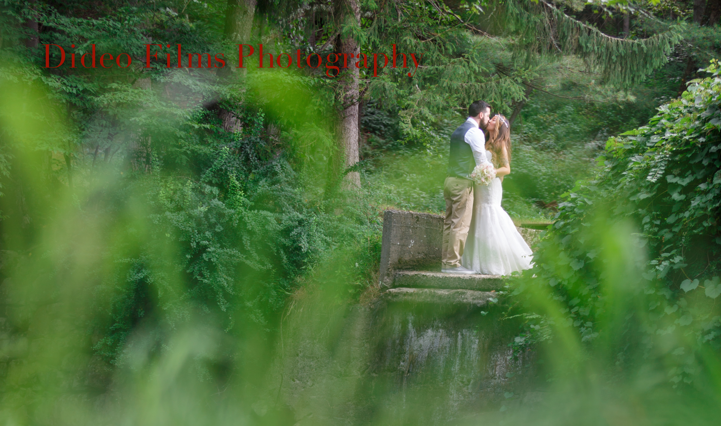 KRISTINA +WILL Cinematic Wedding Highlights