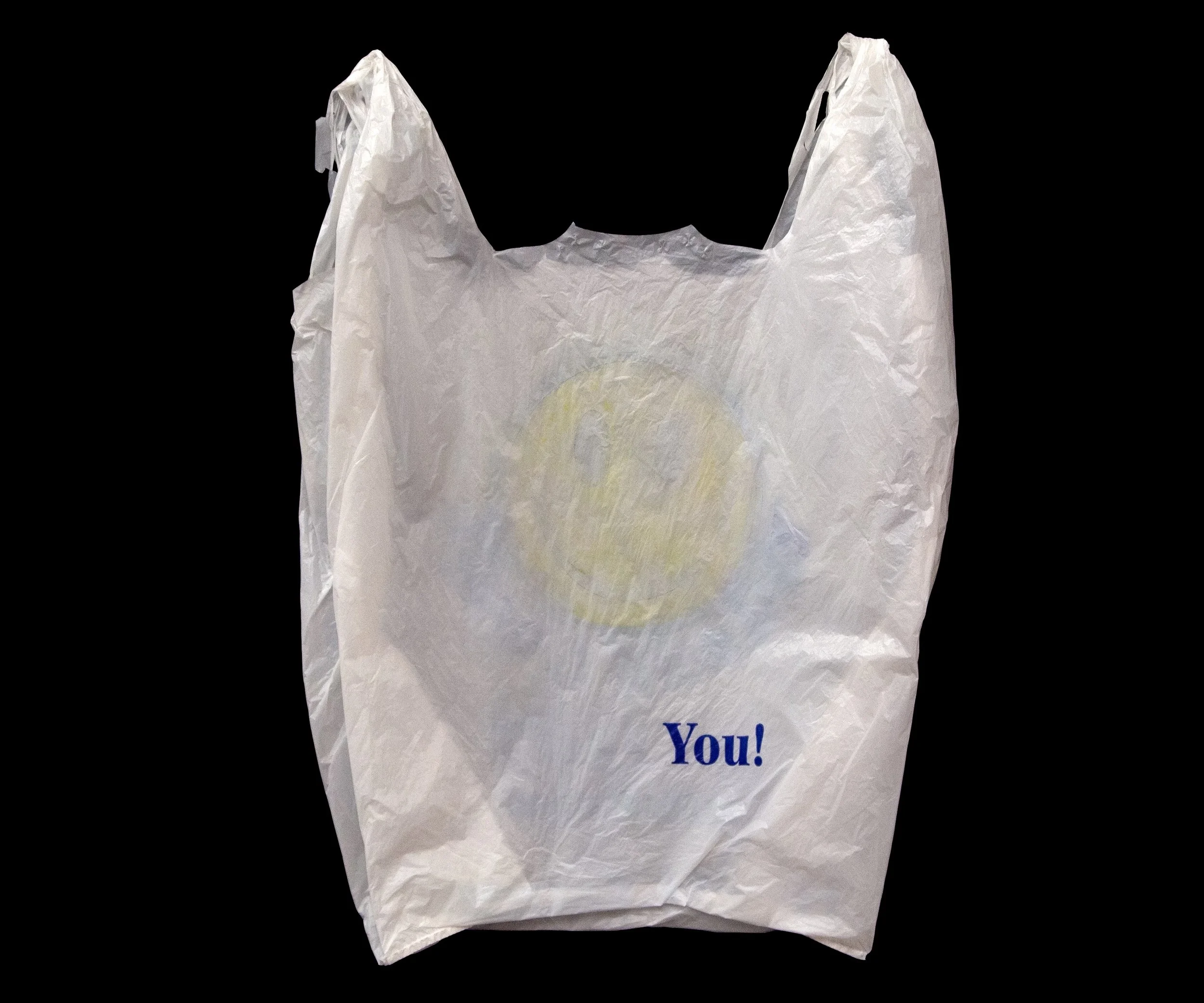 You!_bag 2.jpg