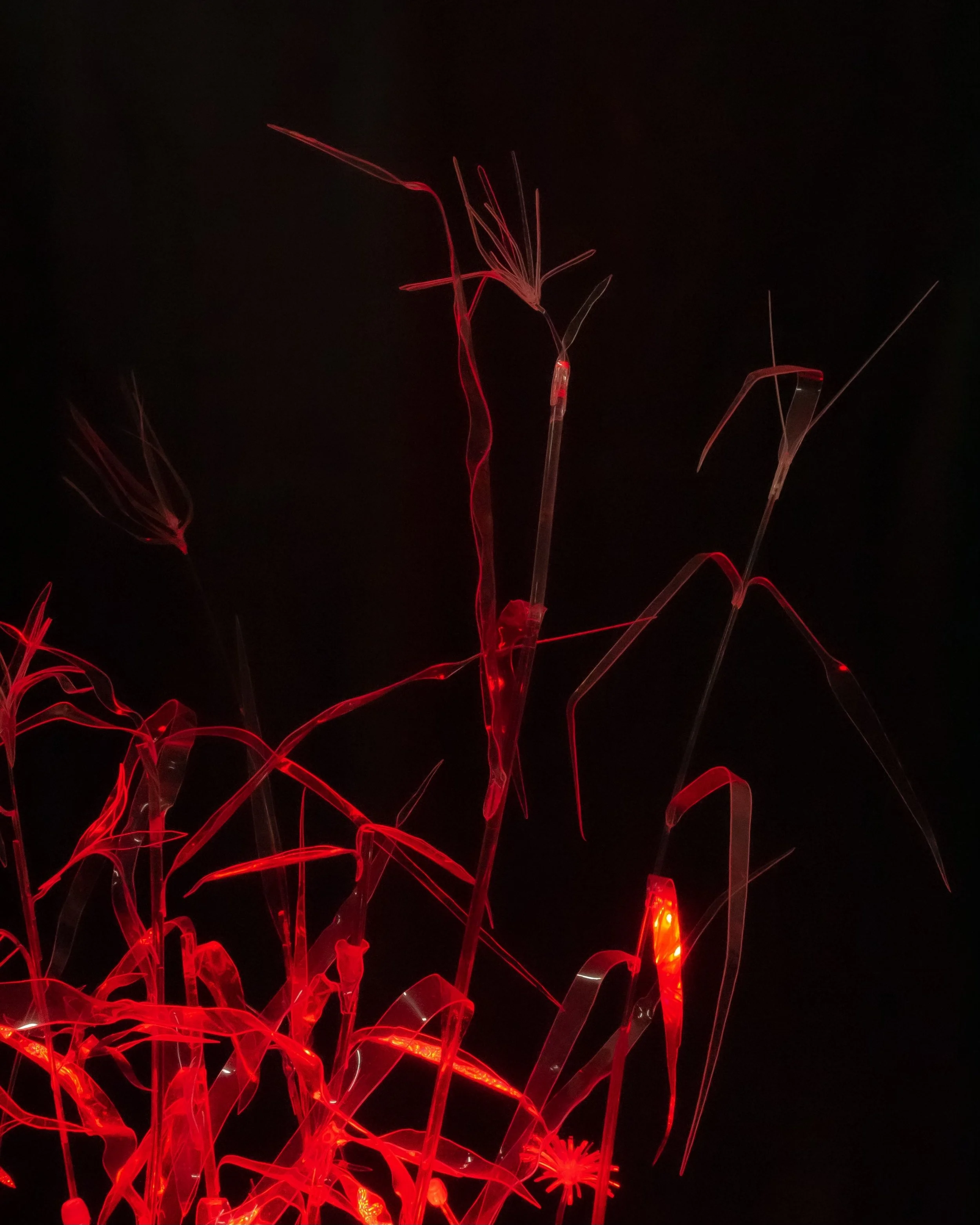 Glowing_Plastic_Plants_7.jpg