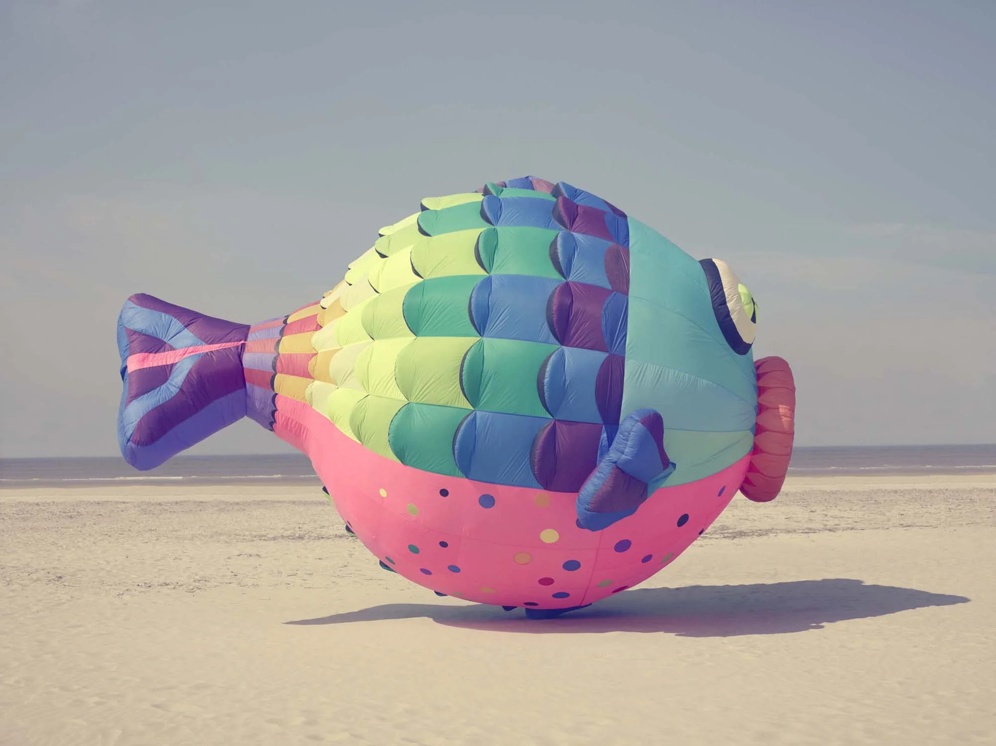 Funny Fish