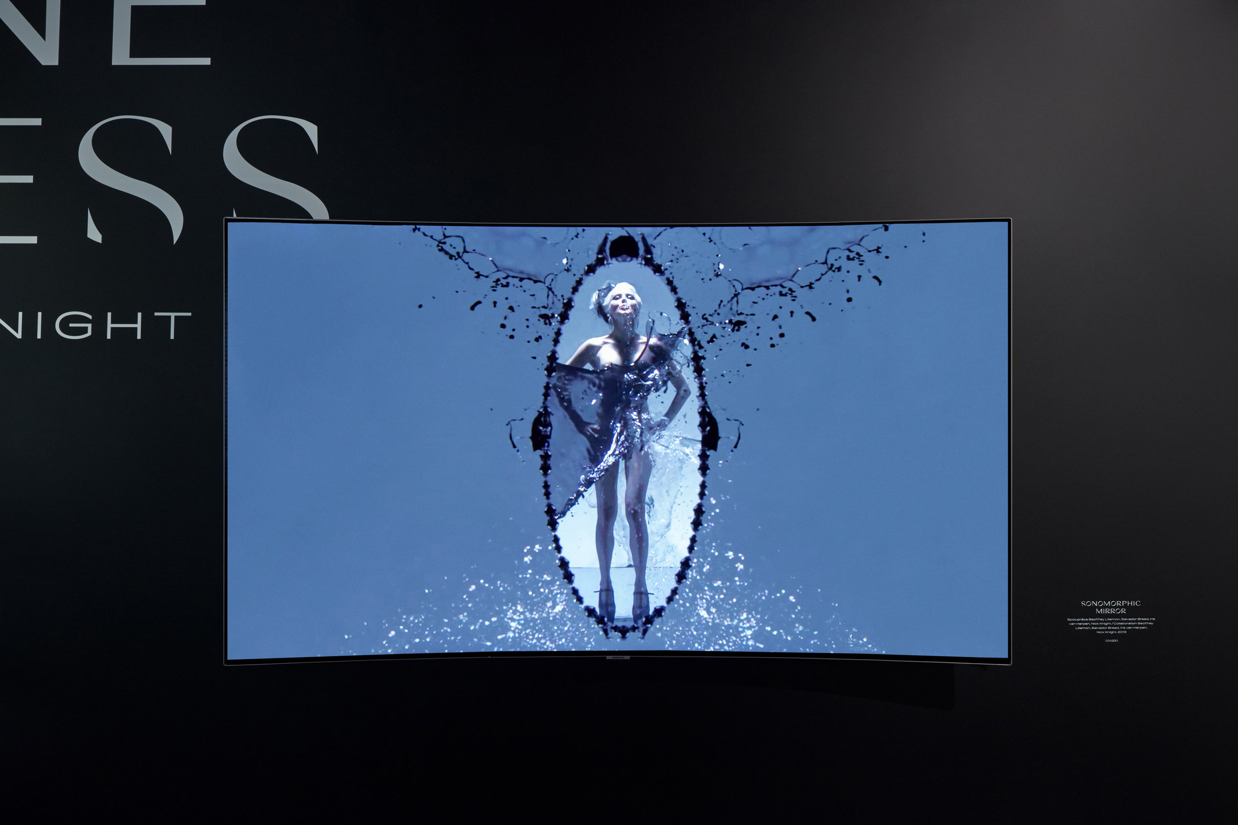 Daphne_Guinness_16.jpg
