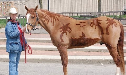 cool idea! shaved horse