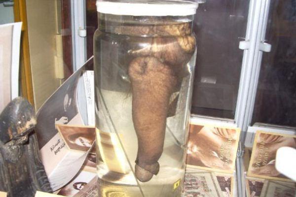 Rasputin's dick in a jar.