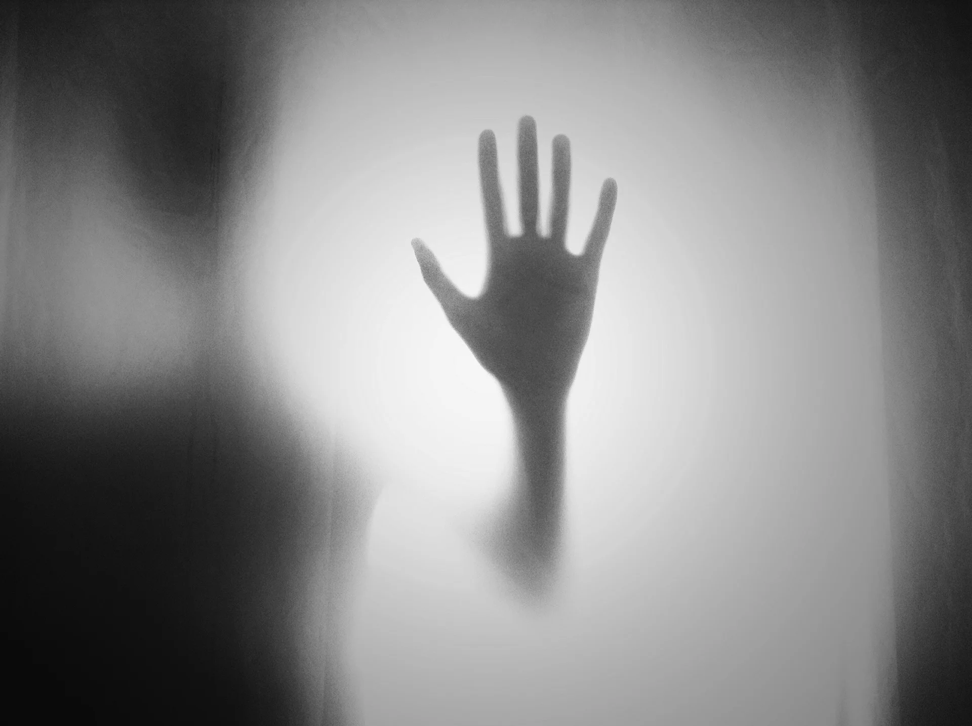 Six scary films to keep you up at night