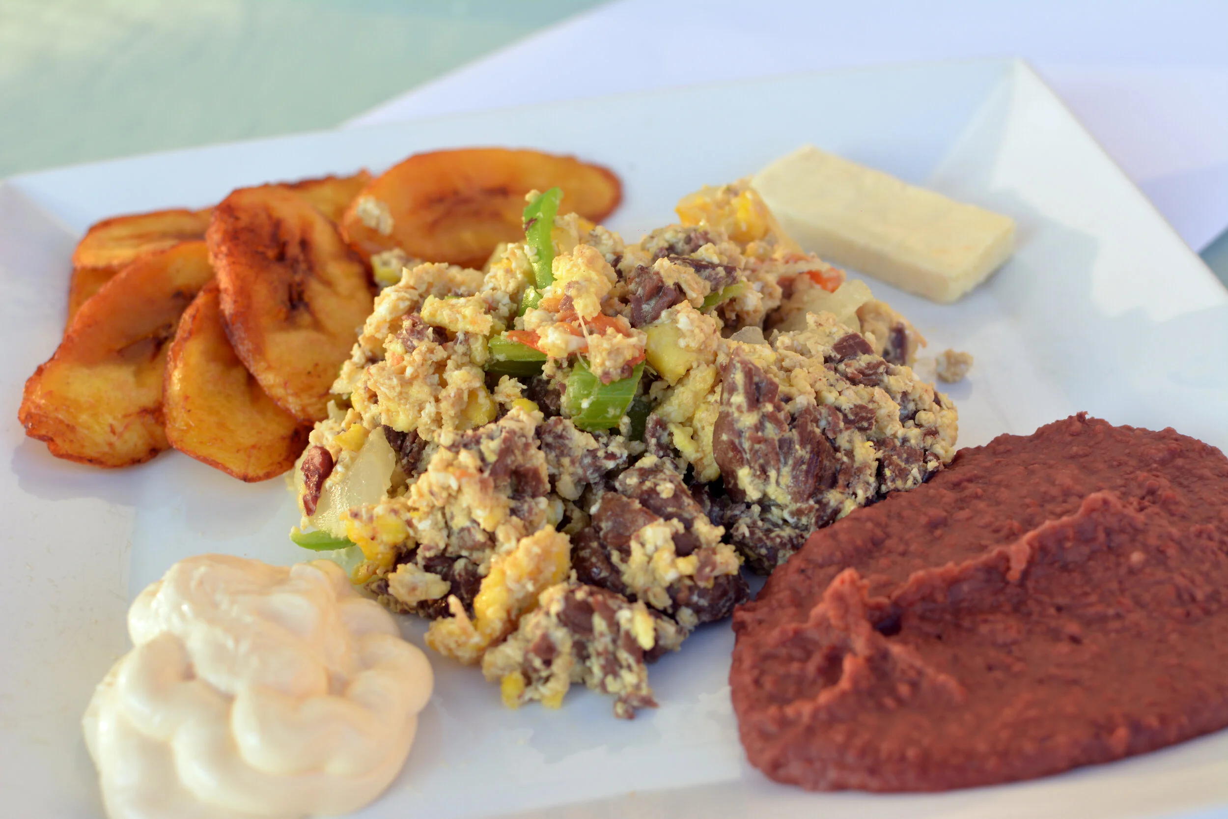 CArne Deshebrada.jpg