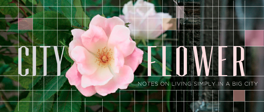 city flower