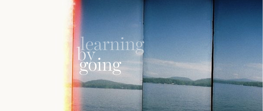 learning by going