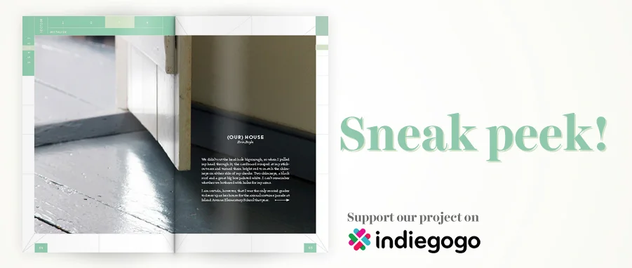 indiegogo sneak peek