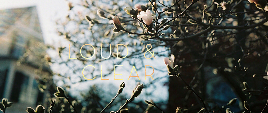 loud and clear magnolias