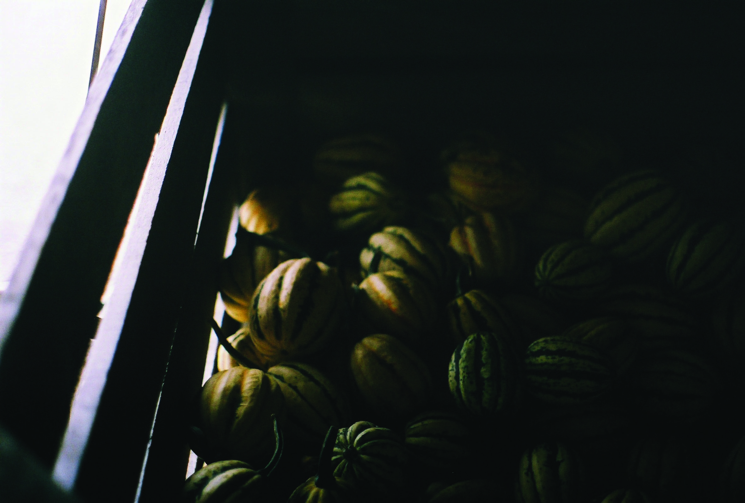 drying room - 2.jpg
