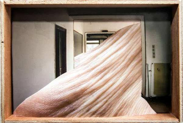 Untitled, 2014