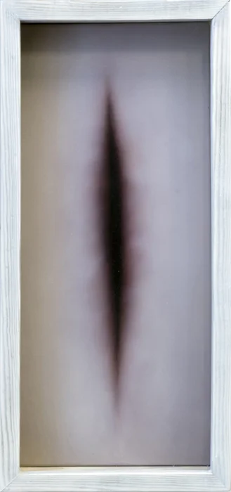 Unobtainable little d, 2013