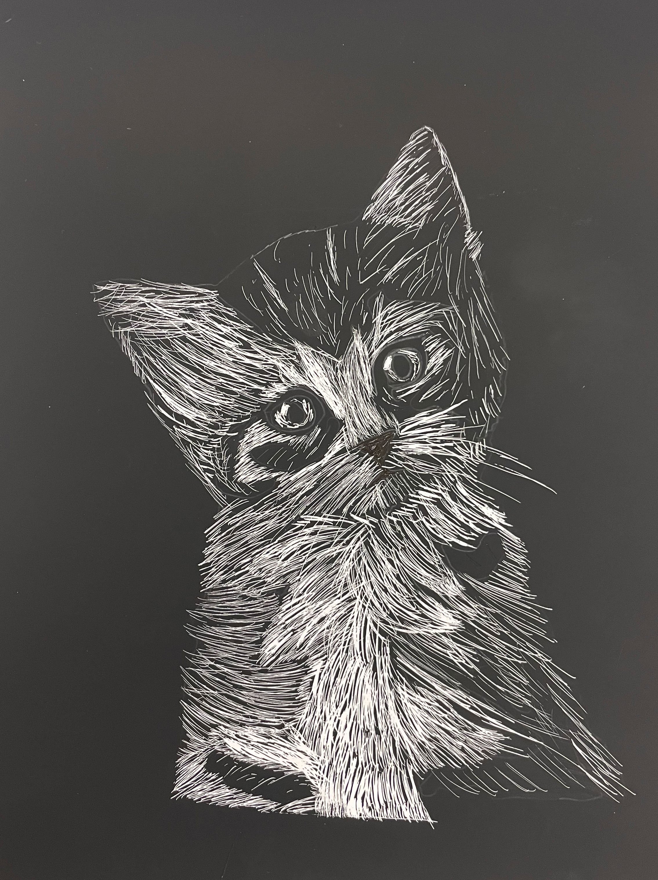 Scratchboard Art Lesson - Cat 
