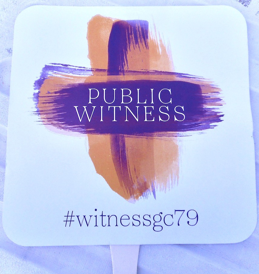 2018-07-09 public witness.jpg