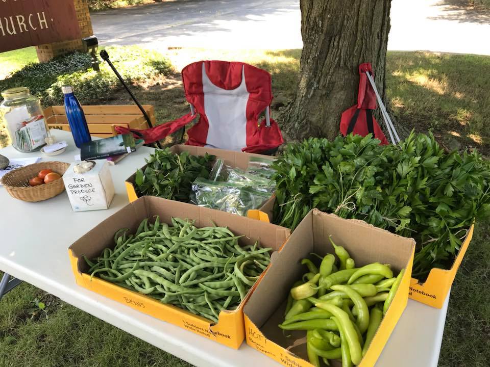 Farmer's Market