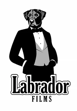 labrador_002.jpg
