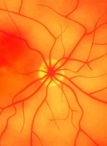 Oeil 3D petit.jpg