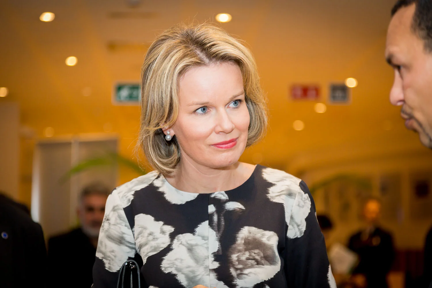Queen mathilde of belgium