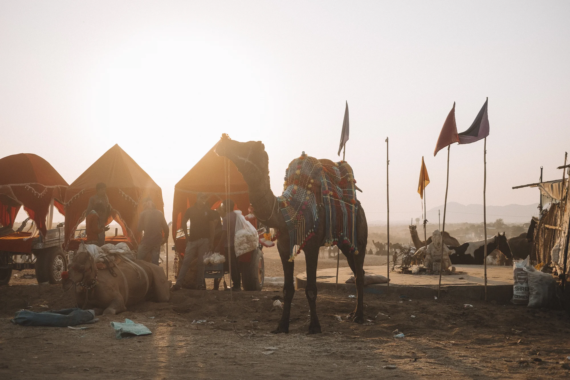 India_web-145.jpg