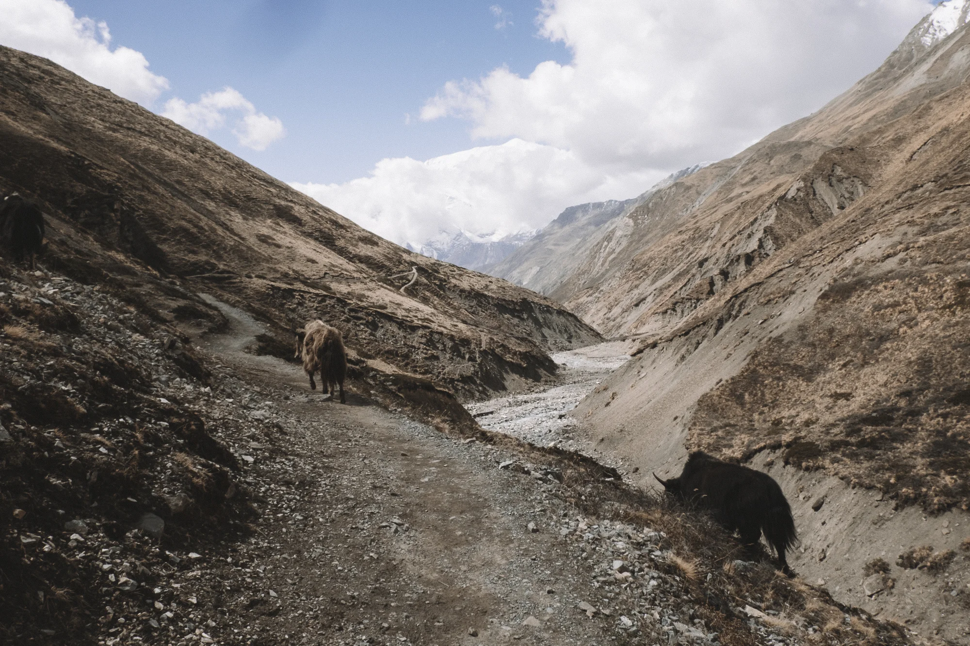 nepal-55.jpg